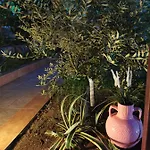 Purple_rose_apartment Χανιώτη
